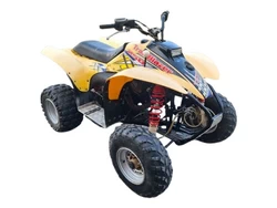 Trail Blazer 250 1996-2005