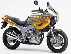 TDM850 1991-2001