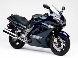 ZX-12C / ZZR1200 2002-2005
