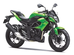 Z250 / Z300 2012-