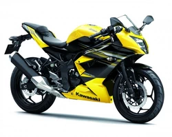 Ninja 250SL 2014-