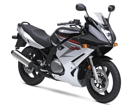 GS500F 2004-2013