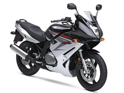 GS500F 2004-2013